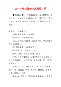 双十一活动促销方案精编3篇