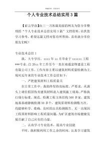 个人专业技术总结实用3篇