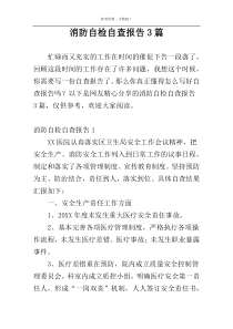 消防自检自查报告3篇