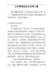 公司管理层会议总结2篇