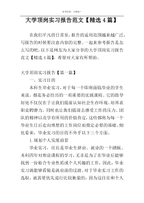 大学顶岗实习报告范文【精选4篇】