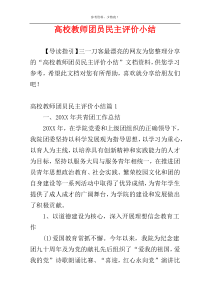 高校教师团员民主评价小结