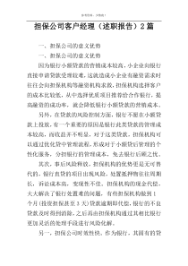 担保公司客户经理（述职报告）2篇