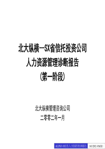 北大纵横XX省信托公司人力资源报告