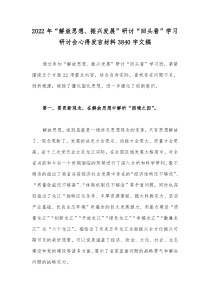 2022年“解放思想、振兴发展”研讨“回头看”学习研讨会心得发言材料3840字文稿