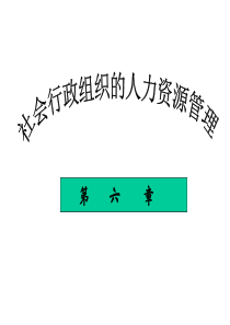 社会行政组织的人力资源管理