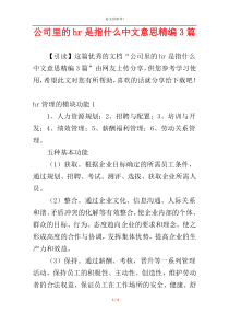 公司里的hr是指什么中文意思精编3篇