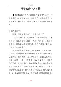 哥哥的爱作文5篇