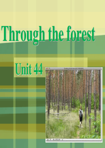 新概念二Unit44Throughtheforest课文讲解