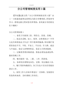 分公司管理制度实用3篇