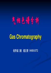 气相色谱分析原理GasChromatography