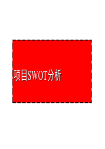 地产经典项目SWOT分析