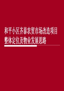 地产营销-张店和平小区齐泰农贸市场改造项目整体定位及