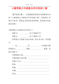 小额贷款公司借款合同书范例3篇