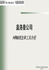 盖洛普HRM工具和理念（PPT28页）