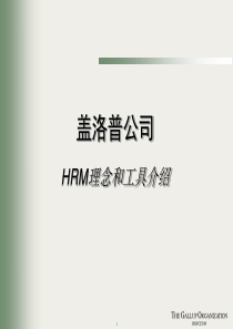 盖洛普公司HRM理念和工具介绍（PPT28页）