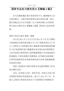 国贸专业实习报告范文【精编4篇】