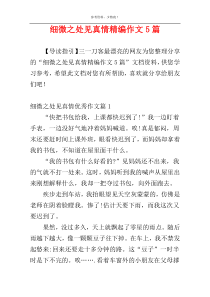 细微之处见真情精编作文5篇