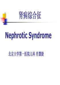 肾病综合征NephroticSyndrome