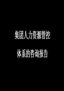 集团人力资源管控体系设计报告(91页PPT精品)