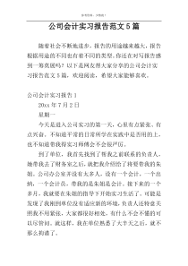 公司会计实习报告范文5篇