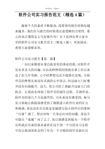 软件公司实习报告范文（精选4篇）