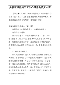 央视新媒体实习工作心得体会范文4篇