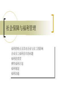 10、11社会保障与福利管理