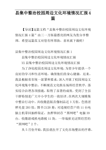 县集中整治校园周边文化环境情况汇报4篇