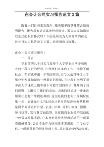 在会计公司实习报告范文2篇