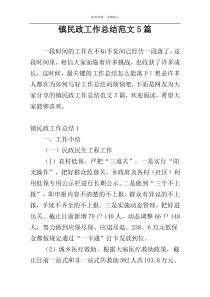 镇民政工作总结范文5篇