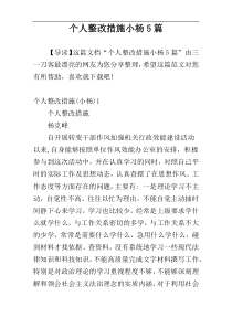 个人整改措施小杨5篇