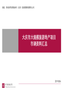 大庆市大规模旅游地产项目市调资料汇总