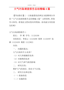 大气污染调查报告总结精编4篇