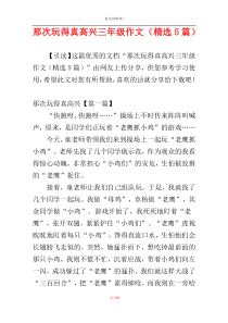 那次玩得真高兴三年级作文（精选5篇）