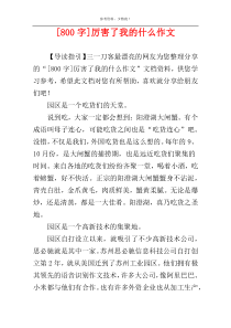 [800字]厉害了我的什么作文