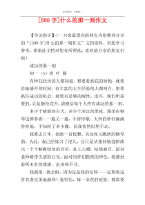 [500字]什么的那一刻作文