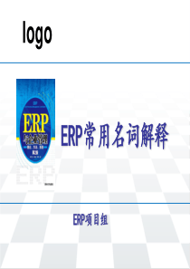 ERP常用名词解释（PPT161页)