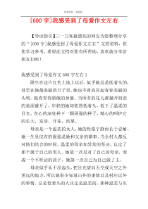 [600字]我感受到了母爱作文左右