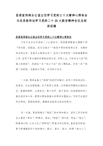 县委宣传部办公室主任学习党的2十大精神心得体会与在系统传达学习党的二十20大报告精神会议总结讲话