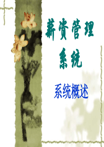 6薪资系统