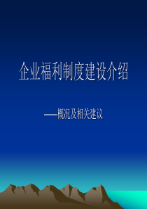 企业福利制度建设介绍