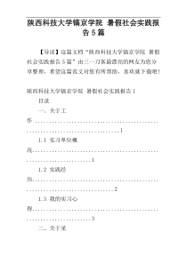 陕西科技大学镐京学院 暑假社会实践报告5篇