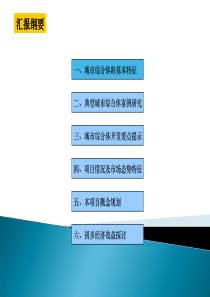 商业地产EMBA课程城市综合体研究及经典案例(世联顾问