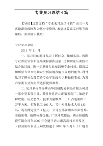 专业见习总结4篇