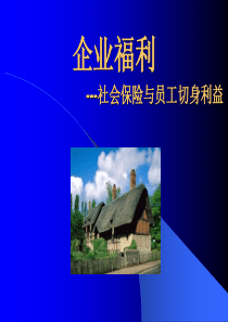 企业福利社会保险与员工切身利益(PPT39)(1)