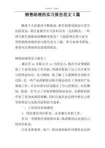 销售助理的实习报告范文3篇