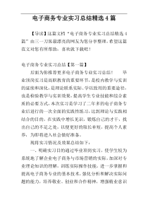 电子商务专业实习总结精选4篇