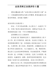 业务员转正自我评价5篇