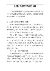 公司业务员年度总结5篇